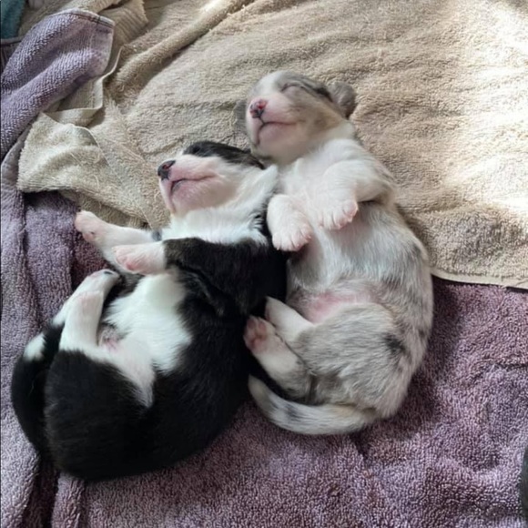 Meet your Posher, Deborah - Picture 4 of 6